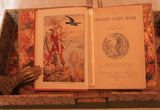 The Orange Fairy Book