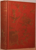 The Orange Fairy Book