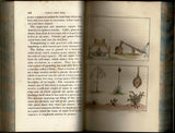 Travels in the Interior of Brazil particularly in the Cold and Diamond Districts of that Country, by Authority of the Prince Regent of Portugal; Including a Voyage to the Rio de la Plata, and an Historical Sketch of the Revolution of Buenos Ayres