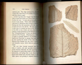 Arctic Searching Expedition: A Journal of a Boat-Voyage Through Ruperts Land and the Arctic Sea, in Search of the Discovery Ships Under Command of Sir John Franklin with an Appendix on the Physical Geography of North America