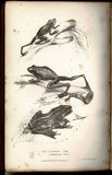 Journals of Two Expeditions of Discovery in North-West and Western Australia During the Years 1837, 38, and 39; Describing Many Newly Discovered, Important and Fertile Districts; with Observations on the Aboriginal Inhabitants, etc.