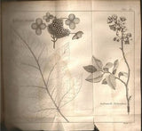 Voyage dans les parties sud de l'Amérique septentrionale; savoir: les Carolines septentrionale et méridionale, la Georgie, les Florides orientale et occidentale, le pays de Cherokées, le vaste territoire des Muscogulges ou de la confédération