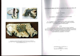 Excavations at Phylakopi in Melos 1974-77