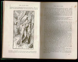The Green Fairy Book