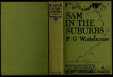 Sam in the Suburbs