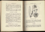 Diccionario de medicación herbaria: (la botica en el jardín)