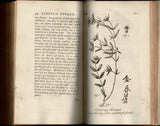 A Voyage to China and the East Indies. Together with A Voyage to Suratte by Olof Toreen and An Account of the Chinese Husbandry by Captain Charles Gustavus Eckeberg.; to which are added, a faunula ad florula sinensis