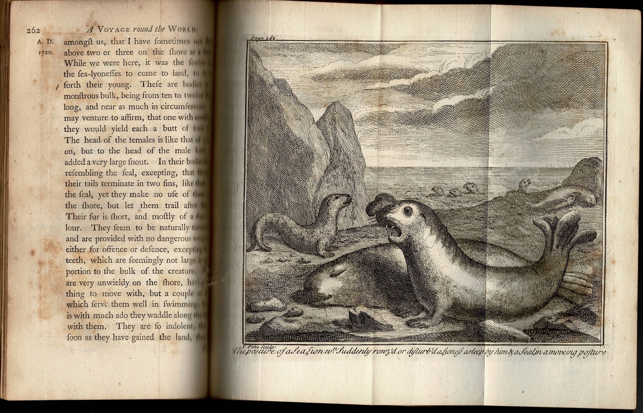 A Voyage Round the World, by the Way of the Great South Sea