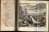 A Voyage Round the World, by the Way of the Great South Sea: Performed in a Private Expedition during the War, which broke out with Spain, in the Year 1718