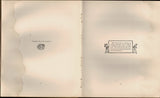 The Brownies: Their Book