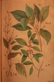 The Civil and Natural History of Jamaica. Containing 1. An accurate Description of that Island, its Situation, and Soil; with a brief Account of its former and present State, Government, Revenues, Produce, and Trade.