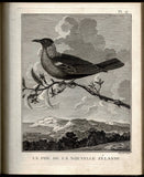 Voyage dans l'hémisphère austral et autour du monde [ressource électronique] : fait sur les vaisseaux de roi, l'Aventure & la Résolution, en 1772, 1773, 1774 & 1775