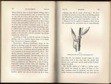 The Movements and Habits of Climbing Plants