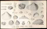 Geological Observations on South America. Being the Third Part of the Geology of the Voyage of the Beagle, Under the Command of Capt. Fitzroy, R. N. During the years 1832 to 1836