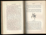 The Movements and Habits of Climbing Plants