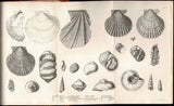 Geological Observations on South America. Being the Third Part of the Geology of the Voyage of the Beagle, Under the Command of Capt. Fitzroy, R. N. During the years 1832 to 1836