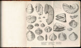 Geological Observations on South America. Being the Third Part of the Geology of the Voyage of the Beagle, Under the Command of Capt. Fitzroy, R. N. During the years 1832 to 1836