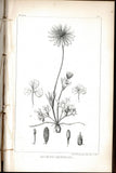 Exploration of the Red River of Louisiana, in the Year 1852