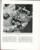 La Merced. Estudio Ecologico y Social de una Zona de la Ciudad de Mexico