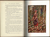 The Orange Fairy Book