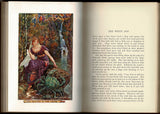 The Orange Fairy Book