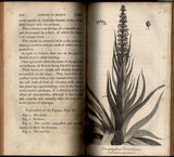Voyage in search of La Pérouse. Performed by order of the Constituent Assembly, during the years 1791, 1792, 1793, and 1794, and drawn up by M. Labillardiere,