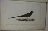 Relation Du Voyage à La Recherche De La Pérouse, Fait Par Ordre De L'Assemblée Constituante, Pendant les années 1791, 1792, et pendant la 1ère et la 2de année de la République Françoise [with] Atlas