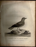 A Voyage Round the World; But More Particularly to the North-West Coast of America: Performed in 1785, 1786, 1787, and 1788, in the King George and Queen Charlotte, Captains Portlock and Dixon
