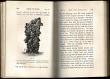 The formation of vegetable mould through the action of worms, with observations on their habits