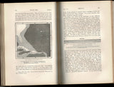 Island Life: or, The Phenomena and Causes of Insular Faunas and Floras, Including a Revision and Attempted Solution of the Problem of Geological Climates