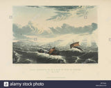 Narrative of a Journey to the Shores of the Polar Sea, in the Years 1819, 20, 21, and 22. With an Appendix on Various Subjects Relating to Science and Natural History