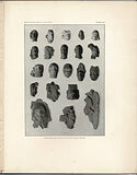 The Chultunes of Labna, Yucatan: Report of Explorations By the Museum, 1888-89, and 1890-91, Memoirs of the Peabody Museum of American Archaeology and Ethnology, Harvard University, Vol. I, Nos. 3