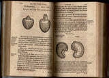 Aromatum, et simplicium aliquot medicamentorum apud Indos nascentium historia